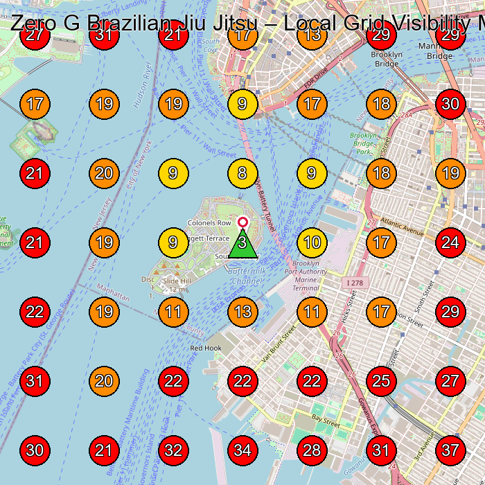 Zero G Brazilian Jiu Jitsu GeoGrid visibility map for Martial Arts School in Brooklyn
